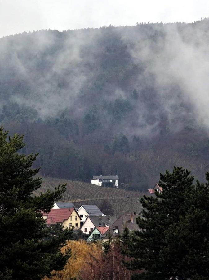 Birgele Villa Riquewihr Eksteriør billede