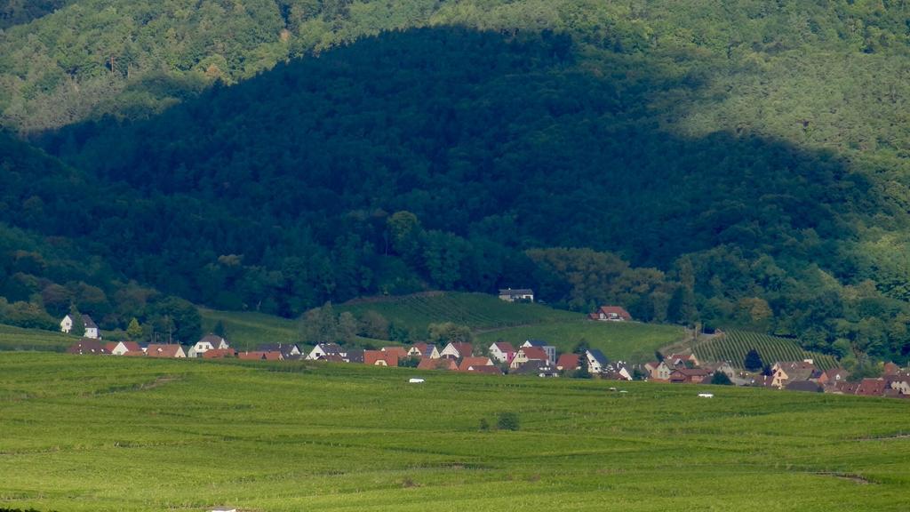 Birgele Villa Riquewihr Eksteriør billede